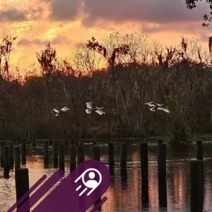 Meet your Posher, Dawn